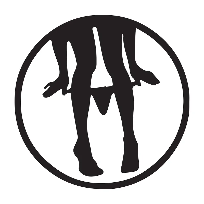 Oferta Naklejka na auto samochód WYTRZYMAŁA FOLIA SAMOCHODOWA 10 cm