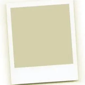 Tani Filtron Filtr powietrza AP 103/2