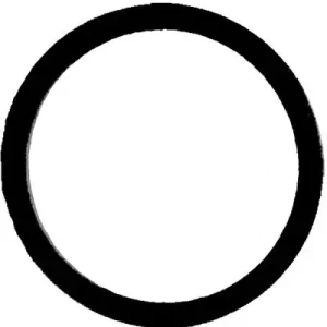 Nowość REINZ Uszczelka, kolektor dolotowy REINZ 71-35247-00