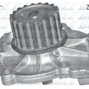 Dolz INDUSTRIAS Pompa wodna INDUSTRIAS R304 Bezpieczna płatność