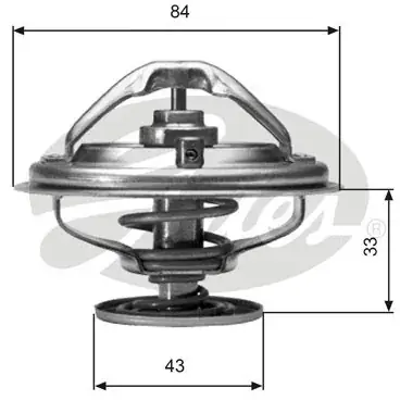 GATES Termostat ukadu chodzenia TH06582G1 Oferta limitowana