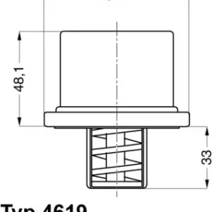 Wahler Termostat, żrodek chłodzący 4619.82 Szybka dostawa